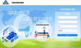河南投资集团主数据管理系统